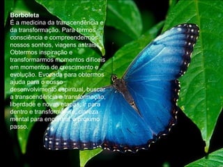 Borboleta
É a medicina da transcendência e
da transformação. Para termos
consciência e compreendermos
nossos sonhos, viagens astrais.
Obtermos inspiração e
transformarmos momentos difíceis
em momentos de crescimento e
evolução. Evocada para obtermos
ajuda para o nosso
desenvolvimento espiritual, buscar
a transcendência e transformação,
liberdade e novas etapas, ir para
dentro e transformar-se, clareza
mental para encontrar o próximo
passo.

 