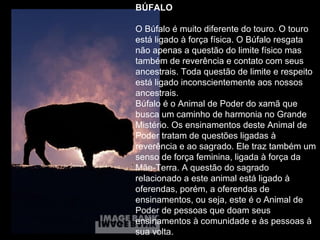 BÚFALO
O Búfalo é muito diferente do touro. O touro
está ligado à força física. O Búfalo resgata
não apenas a questão do limite físico mas
também de reverência e contato com seus
ancestrais. Toda questão de limite e respeito
está ligado inconscientemente aos nossos
ancestrais.
Búfalo é o Animal de Poder do xamã que
busca um caminho de harmonia no Grande
Mistério. Os ensinamentos deste Animal de
Poder tratam de questões ligadas à
reverência e ao sagrado. Ele traz também um
senso de força feminina, ligada à força da
Mãe-Terra. A questão do sagrado
relacionado a este animal está ligado à
oferendas, porém, a oferendas de
ensinamentos, ou seja, este é o Animal de
Poder de pessoas que doam seus
ensinamentos à comunidade e às pessoas à
sua volta.

 