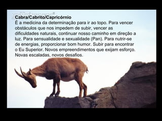 Cabra/Cabrito/Capricórnio
É a medicina da determinação para ir ao topo. Para vencer
obstáculos que nos impedem de subir, vencer as
dificuldades naturais, continuar nosso caminho em direção a
luz. Para sensualidade e sexualidade (Pan). Para nutrir-se
de energias, proporcionar bom humor. Subir para encontrar
o Eu Superior. Novos empreendimentos que exijam esforço.
Novas escaladas, novos desafios.

 