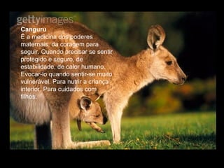 Canguru
É a medicina dos poderes
maternais, da coragem para
seguir. Quando precisar se sentir
protegido e seguro, de
estabilidade, de calor humano.
Evocar-lo quando sentir-se muito
vulnerável. Para nutrir a criança
interior. Para cuidados com
filhos.

 