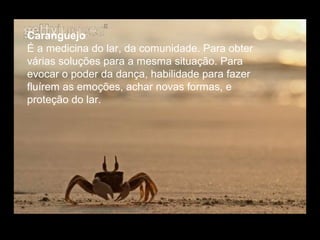 Caranguejo
É a medicina do lar, da comunidade. Para obter
várias soluções para a mesma situação. Para
evocar o poder da dança, habilidade para fazer
fluírem as emoções, achar novas formas, e
proteção do lar.

 