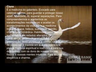 Cisne
É a medicina do galanteio. Evocado para
celebrar o amor, para guardar e proteger nosso
amor, fidelidade, fé, superar separações. Para
compreendermos e aceitarmos as
transformações necessárias e aceitar os
acontecimentos da vida. Na sua medicina
incluem, graça, beleza, suavidade, paixão,
criatividade romântica. Habilidade para navegar
suavemente em estados alterados de
consciência, desenvolver a intuição,
premonição, dons proféticos a confiar na graça
de nosso ser à medida em que ela opera nos
planos físicos e espiritual e nos coloca para nos
deliciarmos com os dons de nossos corpos
físicos e nossas mentes intuitivas. Para evocar
elegância e charme.

 
