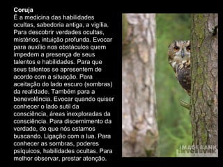 Coruja
É a medicina das habilidades
ocultas, sabedoria antiga, a vigília.
Para descobrir verdades ocultas,
mistérios, intuição profunda. Evocar
para auxílio nos obstáculos quem
impedem a presença de seus
talentos e habilidades. Para que
seus talentos se apresentem de
acordo com a situação. Para
aceitação do lado escuro (sombras)
da realidade. Também para a
benevolência. Evocar quando quiser
conhecer o lado sutil da
consciência, áreas inexploradas da
consciência. Para discernimento da
verdade, do que nós estamos
buscando. Ligação com a lua. Para
conhecer as sombras, poderes
psíquicos, habilidades ocultas. Para
melhor observar, prestar atenção.

 
