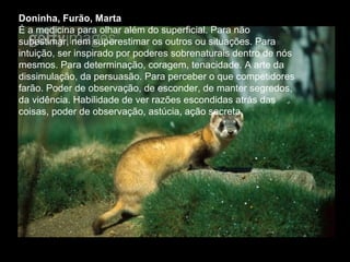 Doninha, Furão, Marta
É a medicina para olhar além do superficial. Para não
subestimar, nem superestimar os outros ou situações. Para
intuição, ser inspirado por poderes sobrenaturais dentro de nós
mesmos. Para determinação, coragem, tenacidade. A arte da
dissimulação, da persuasão. Para perceber o que competidores
farão. Poder de observação, de esconder, de manter segredos,
da vidência. Habilidade de ver razões escondidas atrás das
coisas, poder de observação, astúcia, ação secreta.

 