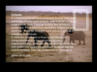 Elefante
É a medicina da memória ancestral. Evocar para guiar
caminhos. Inspira amor próprio, auto-suficiência, força,
longevidade, cura. Para ser guiado em caminhos
ancestrais. Para obter boa memória e habilidade para
aprender. Pode ser evocado para estudos, provas e
trabalhos intelectuais
O elefante nos ensina a força da gentileza, do
comprometimento e da comunicação nos
relacionamentos.. Eles são completamente envolvidos
com todos com quem ele possuem qualquer tipo de
relacionamento. Eles são poderosos ao proteger e
gentis ao cuidar.

 
