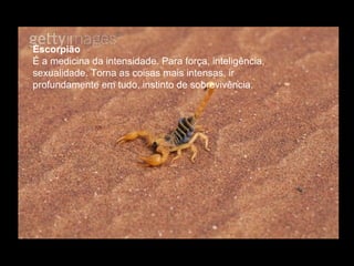 Escorpião
É a medicina da intensidade. Para força, inteligência,
sexualidade. Torna as coisas mais intensas, ir
profundamente em tudo, instinto de sobrevivência.

 