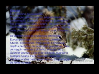 Esquilo
É a medicina da poupança.
Preparação, planejamento, adaptabilidade e
conservação. O esquilo nos ensina a planejar e
nos prepararmos para o futuro. Não use todas as
suas reservas. Devemos sempre guardar alguma
coisa para nos servir em tempos ruins. Preparese também para as mudanças periódicas.
Evocar para fazer investimentos, projetos
futuros, orçamentos. Para ajudar a encontrar
objetos perdidos, ou muito bem guardados. Para
conseguir reservas ( dinheiro, energia, etc.)
Guardar apenas o que é de utilidade, guardar e
proteger coisas. Para observar pequenos
detalhes óbvios para divertimentos, programação
de férias ou lazer.

 