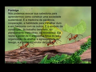 Formiga
Nós podemos evocar sua sabedoria para
aprendermos como construir uma sociedade
sustentável. É a medicina da paciência,
cooperação, a habilidade para trabalhar duro
e em harmonia com os outros. É o símbolo da
construção, do trabalho bem-feito, do
planejamento meticuloso, da resistência. Ela
reúne o poder de 4 animais : a força do leão,
organização da abelha, a agressividade do
texugo, e o poder construtor do castor.

 
