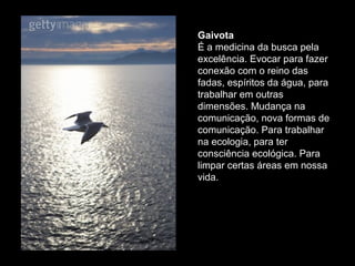 Gaivota
É a medicina da busca pela
excelência. Evocar para fazer
conexão com o reino das
fadas, espíritos da água, para
trabalhar em outras
dimensões. Mudança na
comunicação, nova formas de
comunicação. Para trabalhar
na ecologia, para ter
consciência ecológica. Para
limpar certas áreas em nossa
vida.

 