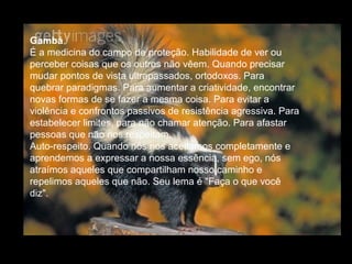 Gambá
É a medicina do campo de proteção. Habilidade de ver ou
perceber coisas que os outros não vêem. Quando precisar
mudar pontos de vista ultrapassados, ortodoxos. Para
quebrar paradigmas. Para aumentar a criatividade, encontrar
novas formas de se fazer a mesma coisa. Para evitar a
violência e confrontos passivos de resistência agressiva. Para
estabelecer limites, para não chamar atenção. Para afastar
pessoas que não nos respeitam.
Auto-respeito. Quando nós nos aceitamos completamente e
aprendemos a expressar a nossa essência, sem ego, nós
atraímos aqueles que compartilham nosso caminho e
repelimos aqueles que não. Seu lema é "Faça o que você
diz".

 