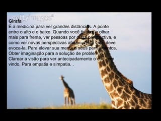 Girafa  É a medicina para ver grandes distâncias. A ponte entre o alto e o baixo. Quando você tiver que olhar mais para frente, ver pessoas por outra perspectiva, e como ver novas perspectivas afetam a sua vida, deve evoca-la. Para elevar sua mente e seus pensamentos. Obter imaginação para a solução de problemas. Clarear a visão para ver antecipadamente o que vem vindo. Para empatia e simpatia. .  