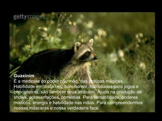 Guaxinim  É a medicina do poder não mão, das práticas mágicas. Habilidade em disfarces, bom humor, habilidades para jogos e brincadeiras, são também seus atributos. Ajuda na produção de shows, apresentações, comédias. Para versatilidade, poderes místicos, energia e habilidade nas mãos. Para compreendermos nossas máscaras e nossa verdadeira face.  