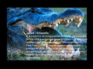Jacaré / Crocodilo  É a medicina do inconsciente profundo, da iniciação. Nos ensina a acharmos boas amizades e a fazermos alianças com pessoas que são diferentes de nós. Para transformar energias agressivas em positiva energia de ação. Para tocar em energias prima, reorganização após o caos (morte e renascimento), instinto de sobrevivência. Profunda visão e clarividência.  