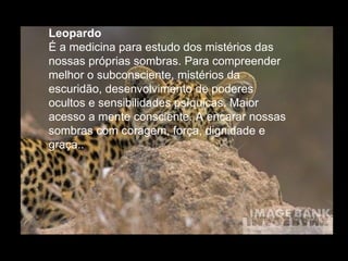 Leopardo  É a medicina para estudo dos mistérios das nossas próprias sombras. Para compreender melhor o subconsciente, mistérios da escuridão, desenvolvimento de poderes ocultos e sensibilidades psíquicas. Maior acesso a mente consciente. A encarar nossas sombras com coragem, força, dignidade e graça..  