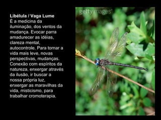 Libélula / Vaga Lume  É a medicina da iluminação, dos ventos da mudança. Evocar parra amadurecer as idéias, clareza mental, autocontrole. Para tornar a vida mais leve, novas perspectivas, mudanças. Conexão com espíritos da natureza, enxergar através da ilusão, ir buscar a nossa própria luz, enxergar as maravilhas da vida, misticismo, para trabalhar cromoterapia.  