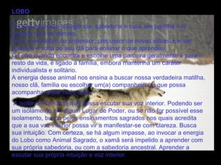 LOBO   O Lobo simboliza inteligência, sabedoria e cura, ele partilha sua energia com os demais.  Ele é o arquétipo do professor, precussor de novas idéias. Ele sai, aprende e volta ao seu clã para ensinar o que aprendeu.  O Lobo quando encontra e escolhe uma parceira geralmente é para o resto da vida, é ligado à família, embora mantenha um caráter individualista e solitário.  A energia desse animal nos ensina a buscar nossa verdadeira matilha, nosso clã, família ou escolher um(a) companheiro(a) que possa acompanhar esse novo ciclo. A isolar-se de forma que possa escutar sua voz interior. Podendo ser um isolamento em algum Lugar de Poder, ou se não for possível esse isolamento, busca pelos ensinamentos sagrados nos quais acredita que a sua voz interior possa vir a manifestar-se com clareza. Busca sua intuição. Com certeza, se há algum impasse, ao invocar a energia do Lobo como Animal Sagrado, o xamã será impelido a aprender com sua própria sabedoria, ou com a sabedoria ancestral. Aprender a escutar sua própria intuição e voz interior.  