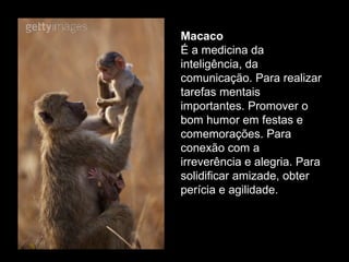 Macaco  É a medicina da inteligência, da comunicação. Para realizar tarefas mentais importantes. Promover o bom humor em festas e comemorações. Para conexão com a irreverência e alegria. Para solidificar amizade, obter perícia e agilidade.  