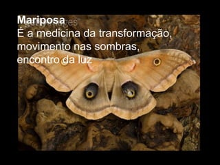 Mariposa  É a medicina da transformação, movimento nas sombras, encontro da luz  