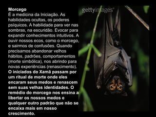 Morcego  É a medicina da Iniciação. As habilidades ocultas, os poderes psíquicos. A habilidade para ver nas sombras, na escuridão. Evocar para expandir conhecimentos intuitivos. A ouvir nossos ecos, como o morcego, e sairmos de confusões. Quando precisamos abandonar velhos hábitos, padrões, comportamentos (morte simbólica), nos abrindo para novas experiências (renascimento).  O iniciados do Xamã passam por um ritual de morte onde eles encaram seus medos e renascem sem suas velhas identidades. O remédio do morcego nos ensina a libertar os nossos medos e qualquer outro padrão que não se encaixa mais em nosso crescimento.   