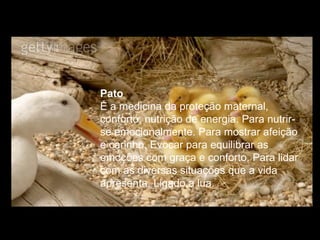 Pato  É a medicina da proteção maternal, conforto, nutrição de energia. Para nutrir-se emocionalmente. Para mostrar afeição e carinho. Evocar para equilibrar as emoções com graça e conforto. Para lidar com as diversas situações que a vida apresenta. Ligado a lua.  