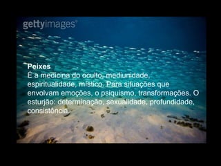 Peixes  É a medicina do oculto, mediunidade, espiritualidade, místico. Para situações que envolvam emoções, o psiquismo, transformações. O esturjão: determinação, sexualidade, profundidade, consistência.  