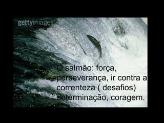 O salmão: força, perseverança, ir contra a correnteza ( desafios) determinação, coragem. 