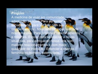 Pingüim  A medicina de viver em comunidade, adaptação ao novo. Para aumentar a sociabilidade, para ser feliz com seu companheiro (a), fidelidade conjugal, lealdade nos romances. Para preservar relacionamentos e relações. Evocar para se adaptar à novas situações, para enriquecer nossa vida com maiores relacionamentos e com maior qualidade de interação. Entender a energia feminina no homem, paternidade.  