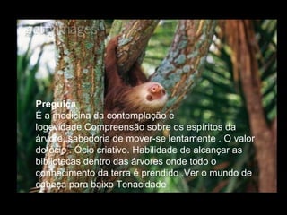 Preguiça  É a medicina da contemplação e logevidade.Compreensão sobre os espíritos da árvore, sabedoria de mover-se lentamente . O valor do ócio . Ócio criativo. Habilidade de alcançar as bibliotecas dentro das árvores onde todo o conhecimento da terra é prendido .Ver o mundo de cabeça para baixo Tenacidade  