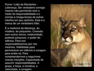 Puma / Leão da Montanha - Liderança. Ser verdadeiro consigo mesmo não permitindo nem o medo da responsabilidade e o ciúmes e inseguranças de outros interfira em seu caminho. Esta é a marca de um verdadeiro líder.  É a medicina da liderança, do mistério, do psiquismo. Conexão com outros reinos, mediunidade, poderes psíquicos, o poder do silêncio. Para nos responsabilizarmos por nós mesmos. Habilidade para permanecer em silêncio e coragem para andar só. Para compreendermos e seguirmos nossas intuições. Capacidade de assumir responsabilidades. A graça, a força, a iniciativa, a velocidade, a coragem.  