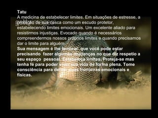 Tatu  A medicina de estabelecer limites. Em situações de estresse, a proteção de sua casca como um escudo protetor, estabelecendo limites emocionais. Um excelente aliado para resistirmos injustiças. Evocado quando é necessários compreendermos nossos próprios limites e quando precisamos dar o limite para alguém.  Sua mensagem é lhe lembrar  que você pode estar precisando  fazer algumas mudanças no que diz respetio a seu espaço  pessoal. Estabeleça limites. Proteja-se mas tenha fé para poder viver sua vida de forma plena. Tome consciência para definir suas fronteiras emocionais e físicas.   