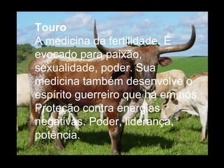 Touro  A medicina da fertilidade. É evocado para paixão, sexualidade, poder. Sua medicina também desenvolve o espírito guerreiro que há em nós. Proteção contra energias negativas. Poder, liderança, potência.  