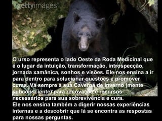 O urso representa o lado Oeste da Roda Medicinal que é o lugar da intuição, transformação, introspecção, jornada xamânica, sonhos e visões. Ele nos ensina a ir para dentro para solucionar questões e promover curas. Vá sempre à sua Caverna de Inverno (mente subconsciente) para renovação e recursos necessários para sua sobrevivência e cura.  Ele nos ensina também a digerir nossas experiências internas e a descobrir que lá se encontra as respostas para nossas perguntas. 