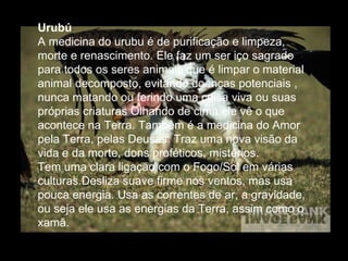 Urubú  A medicina do urubu é de purificação e limpeza, morte e renascimento. Ele faz um ser iço sagrado para todos os seres animais que é limpar o material animal decomposto, evitando doenças potenciais , nunca matando ou ferindo uma coisa viva ou suas próprias criaturas Olhando de cima ele vê o que acontece na Terra. Também é a medicina do Amor pela Terra, pelas Deusas. Traz uma nova visão da vida e da morte, dons proféticos, mistérios.  Tem uma clara ligação com o Fogo/Sol em várias culturas.Desliza suave firme nos ventos, mas usa pouca energia. Usa as correntes de ar, a gravidade, ou seja ele usa as energias da Terra, assim como o xamã.  