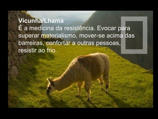 Vicunha/Lhama  É a medicina da resistência. Evocar para superar materialismo, mover-se acima das barreiras, confortar a outras pessoas, resistir ao frio.  