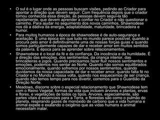 O sul é o lugar onde as pessoas buscam visões, pedindo ao Criador para apontar a direção que devem seguir. Com frequência depois que o criador tornou conhecida essa direção, as pessoas devem seguí-la tão rapidamente, que devem aprender a confiar no Criador e não questionar o caminho. Para ajudar no seguimento dos novos caminhos, Shawnodese nos dá a dádiva da energia, adaptabilidade, maturidade, brincadeira e humor.  Para muitos humanos a época de shawnodese é de auto-segurança e aceitação. É uma época em que tudo no mundo parece possível, quando a procura pelo amor é definitivamente uma de nossas forças guias e quando somos particularmente capazes de dar e receber amor em muitos sentidos da palavra. É época para se aprender sobre relacionamentos.  Shawnodese é o local da fé e da confiança. Da inocência e da humildade. É a direção das emoções, dos sentimentos, da criança interior, das brincadeiras e jogos. Quando precisamos fazer fluir nossos sentimentos e emoções, podemos nos sentar ao Norte. Quando não somos equilibrados emocionalmente, quando sofremos por nossos sentimentos, quando duvidamos da nossa capacidade de dar e receber amor, quando falta fé no Criador e no Mundo à nossa volta, quando nos esquecemos de ser criança, quando não temos tempo para nos divertir, corremos para o Guardião da Direção Norte.  Meadows, discorre sobre o especial relacionamento que Shawnodese tem com o Reino Vegetal, formas de vida que incluem árvores e plantas, ervas e flores, e vegetações de todos os tipos. Árvores, especialmente, são partes vitais e essenciais para a Terra, e florestas são como o pulmão do planeta, respirando gazes de monóxido de carbono que a vida humana e animal expele e exalando o oxigênio que as vidas humans e animal necessitam inalar.  