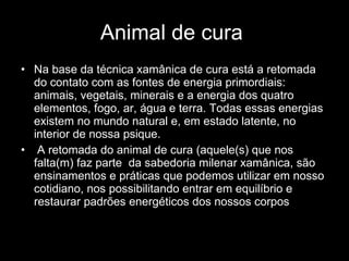 Animal de cura  Na base da técnica xamânica de cura está a retomada do contato com as fontes de energia primordiais: animais, vegetais, minerais e a energia dos quatro elementos, fogo, ar, água e terra. Todas essas energias existem no mundo natural e, em estado latente, no interior de nossa psique.  A retomada do animal de cura (aquele(s) que nos falta(m) faz parte  da sabedoria milenar xamânica, são ensinamentos e práticas que podemos utilizar em nosso cotidiano, nos possibilitando entrar em equilíbrio e restaurar padrões energéticos dos nossos corpos  