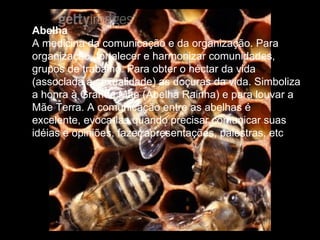 Abelha  A medicina da comunicação e da organização. Para organização, fortalecer e harmonizar comunidades, grupos de trabalho. Para obter o néctar da vida (associada à sexualidade) as doçuras da vida. Simboliza a honra à Grande Mãe (Abelha Rainha) e para louvar a Mãe Terra. A comunicação entre as abelhas é excelente, evoca-las quando precisar comunicar suas idéias e opiniões, fazer apresentações, palestras, etc  