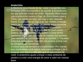 Andorinha  A Medicina da proteção do lar. Calor ( no sentido das emoções ) Ela acompanha o ar quente, é considerada um dos grandes sinais do verão. Algumas tribos dizem que a andorinha roubou o fogo do Sol e trouxe para a Terra, nas penas do rabo, por isso o rabo daquela forma. É associada ao fogo e ao Sol. Reflete proteção para o lar e preservação de desastres, especialmente fogo e raios. Ela inspira que o tempo estará bom, quando voa baixo indica chuva. Ela também come insetos, ajuda a controlar os insetos e numa forma xamânica de pensar, que tipos de insetos nos aparece para atormentar ( principalmente os mentais ) ? Aquelas irritações acumuladas Também nos ensina a livrar-nos de perspectivas mundanas.  A chave para ela também é a objetividade. Por manter sua objetividade você estará hábil para proteger o lar e aquecer sua vida e a vida dos que se aproximam de você. A andorinha ajuda a limpar o meio ambiente de pestes e a criar uma energia de amor e calor em nossos lares  