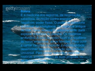 Baleia  É a medicina dos registros, da recordação, sabedoria. Proteção contra energias negativas, poder físico, O poder da sabedoria ancestral, da inteligência. Os registros antigos da Mãe Terra. Acessar o subconsciente, para explorar a história do planeta. Os mistérios profundos. A cura do corpo físico e o equilíbrio do corpo emocional, aliviar tensões. Para ouvir e cantar canções e explorar a individualidade, desenvolver telepatia. Conexão com a Mente Universal. Para contar histórias e recordar histórias antigas, sejam as suas próprias, ou as da humanidade.  