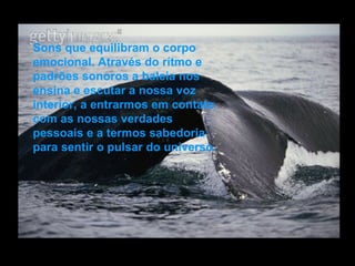 Sons que equilibram o corpo emocional. Através do rítmo e padrões sonoros a baleia nos ensina e escutar a nossa voz interior, a entrarmos em contato com as nossas verdades pessoais e a termos sabedoria  para sentir o pulsar do universo.   