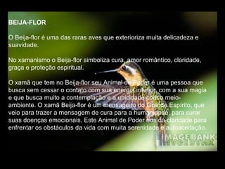 BEIJA-FLOR   O Beija-flor é uma das raras aves que exterioriza muita delicadeza e suavidade.  No xamanismo o Beija-flor simboliza cura, amor romântico, claridade, graça e proteção espiritual.  O xamã que tem no Beija-flor seu Animal de Poder é uma pessoa que busca sem cessar o contato com sua energia interior, com a sua magia e que busca muito a contemplação e a unicidade com o meio-ambiente. O xamã Beija-flor é um mensageiro do Grande Espírito, que veio para trazer a mensagem de cura para a humanidade, para curar suas doenças emocionais. Este Animal de Poder nos dá claridade para enfrentar os obstáculos da vida com muita serenidade e autoaceitação.  
