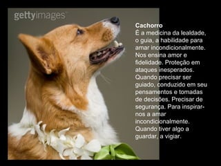 Cachorro  É a medicina da lealdade, o guia, a habilidade para amar incondicionalmente. Nos ensina amor e fidelidade. Proteção em ataques inesperados. Quando precisar ser guiado, conduzido em seu pensamentos e tomadas de decisões. Precisar de segurança. Para inspirar-nos a amar incondicionalmente. Quando tiver algo a guardar, a vigiar.  
