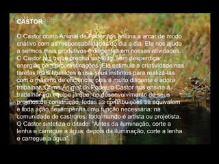 CASTOR   O Castor como Animal de Poder nos ensina a arcar de modo criativo com as responsabilidades do dia a dia. Ele nos ajuda a sermos mais produtivos e diligentes em nossas atividades. O Castor faz o que precisa ser feito, sem desperdiçar energias com procrastinações. Ele estimula a criatividade nas tarefas mais humildes e usa seus instintos para realizá-las com o máximo de eficiência, pois é muito diligente e adora trabalhar. Como Animal de Poder, o Castor nos ensina a trabalhar em equipe já que, no desenvolvimento de seus projetos de construção, todas as contribuições se equivalem e toda ação desempenha uma função necessária: na comunidade de castrores, todo mundo é artista ou projetista. O Castor sintetiza o ditado: “Antes da iluminação, corte a lenha e carregue a água; depois da iluminação, corte a lenha e carregue a água”.  