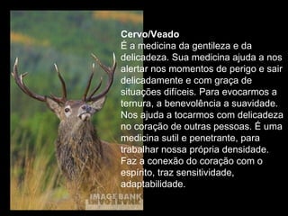 Cervo/Veado  É a medicina da gentileza e da delicadeza. Sua medicina ajuda a nos alertar nos momentos de perigo e sair delicadamente e com graça de situações difíceis. Para evocarmos a ternura, a benevolência a suavidade. Nos ajuda a tocarmos com delicadeza no coração de outras pessoas. É uma medicina sutil e penetrante, para trabalhar nossa própria densidade. Faz a conexão do coração com o espírito, traz sensitividade, adaptabilidade.  