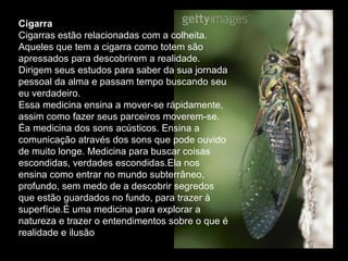 Cigarra  Cigarras estão relacionadas com a colheita. Aqueles que tem a cigarra como totem são apressados para descobrirem a realidade. Dirigem seus estudos para saber da sua jornada pessoal da alma e passam tempo buscando seu eu verdadeiro.  Essa medicina ensina a mover-se rápidamente, assim como fazer seus parceiros moverem-se. Éa medicina dos sons acústicos. Ensina a comunicação através dos sons que pode ouvido de muito longe. Medicina para buscar coisas escondidas, verdades escondidas.Ela nos ensina como entrar no mundo subterrâneo, profundo, sem medo de a descobrir segredos que estão guardados no fundo, para trazer à superfície.É uma medicina para explorar a natureza e trazer o entendimentos sobre o que é realidade e ilusão  