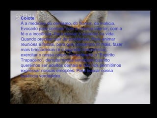 Coiote  Á a medicina do otimismo, do humor, da malícia. Evocado para contatar com a criança interior, com a fé e a inocência. Para evocar o sucesso na vida. Quando precisar sair de problemas. Para animar reuniões e festas, para que possamos rir mais, fazer mais brincadeiras (é a sagrada irreverência), exercitar o nosso corpo. Considerado o “Espírito Trapaceiro”, derruba nossa seriedade quando queremos ser adultos demais e não nos permitimos expressar nossas emoções. Para buscar nossa essência verdadeira.  