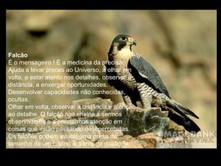 Falcão  É o mensageiro ! É a medicina da precisão. Ajuda a levar preces ao Universo, a olhar em volta, a estar atento nos detalhes, observar à distância, a enxergar oportunidades. Desenvolver capacidades não conhecidas, ocultas.  Olhar em volta, observar a distância e atenção ao detalhe. O falcão nos ensina a sermos observadores e a prestarmos atenção em coisas que estão passando desapercebidas. Os falcões podem avistar uma presa do tamanho de um coelho à 3 kms de distância.  