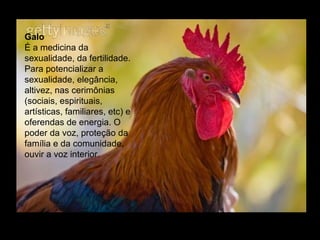 Galo  É a medicina da sexualidade, da fertilidade. Para potencializar a sexualidade, elegância, altivez, nas cerimônias (sociais, espirituais, artísticas, familiares, etc) e oferendas de energia. O poder da voz, proteção da família e da comunidade, ouvir a voz interior.  