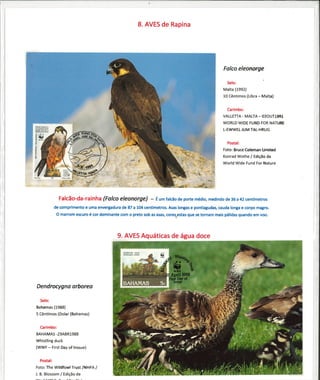 Animais em vias de Extinção (3)