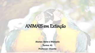 ANIMAIS em Extinção
Alunas: Anne e Manuela
Turma: 41
Professor: Vicente
 